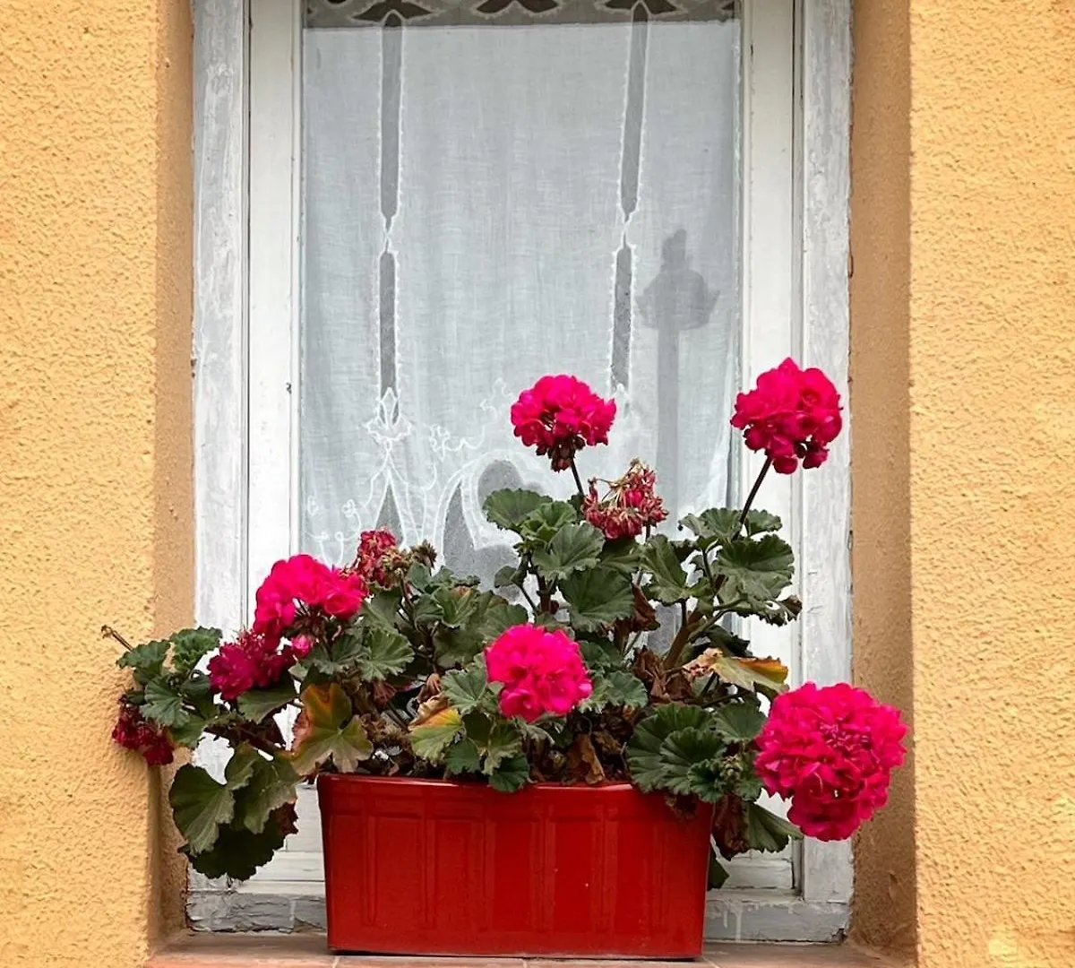 Apartament Sant Feliu De Guixols Downtown 아파트